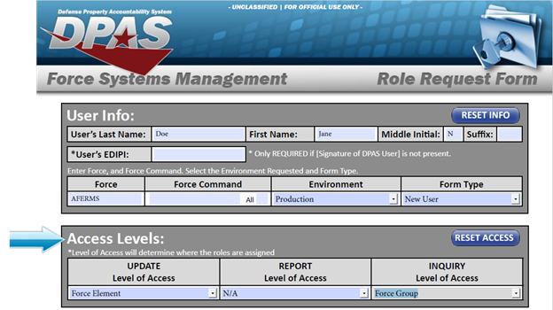 DPAS Role Request Form Example - Access Levels Section Two - Sample of FSM Roles Request Form