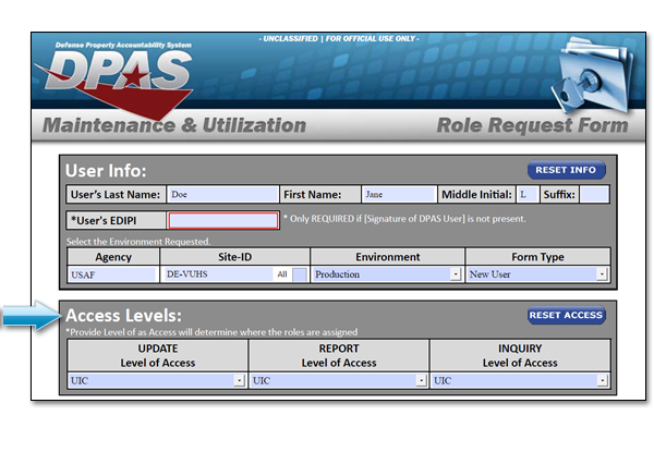 DPAS Role Request Form Example - Access Levels Section Two Sample of MU Roles Request Form