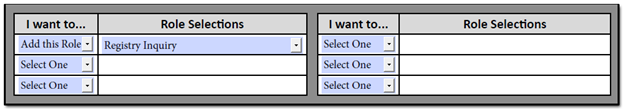 DPAS Role Request Form Section Four Section Four - Registry Role Request Form